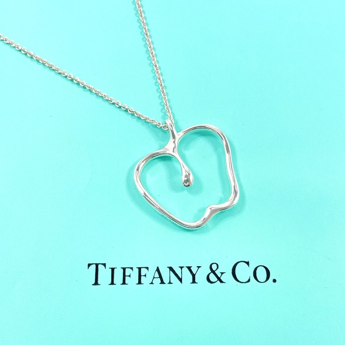 Tiffany & Co. Elsa Peretti Apple Necklace